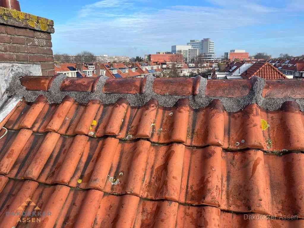 Assen Daken Renoveren Assen Daken Renoveren